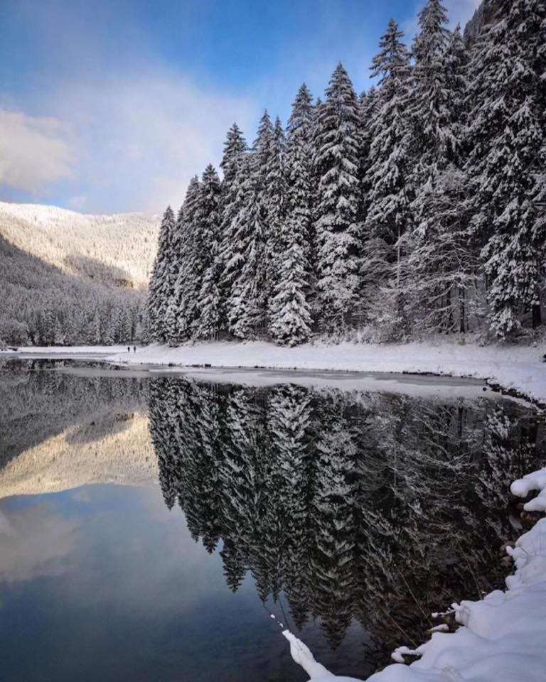 Chalet Adonis - Montriond, Morzine, Avoriaz Ngoại thất bức ảnh